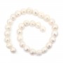 Freshwater cultured pearls, white, oval/irregular, 11-13mm x 37cm
