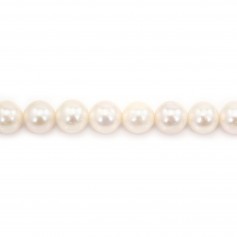 Freshwater cultured pearls, white, round, 8-9mm x 40cm