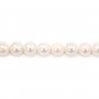 Perles de culture d'eau douce, blanche, ronde, 8-9mm x 40cm