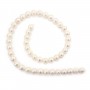 Freshwater cultured pearls, white, round, 8-9mm x 40cm