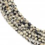 Faceted round Dalmatian Jasper 3mm x 40cm