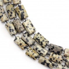 Dalmata giada barocca 7x13mm x 40cm