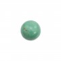 Cabochão de Turquesa redondo 8mm x1pc