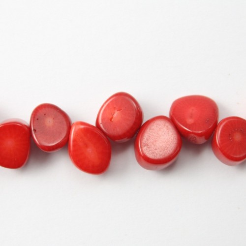 Bamboo de mer teinte rouge rond plate divers 14.5mm 