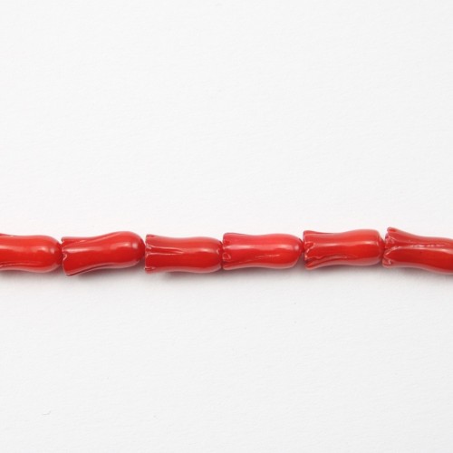 Bambou de mer teinte rouge tulips 4x8mm 