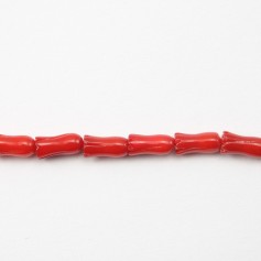 Bambou de mer teinte rouge tulips 4x8mm 