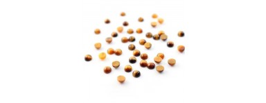 Cabochon di occhio di tigre - Pietra naturale - Creazione di gioielli 
