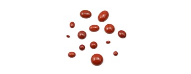 Jaspis-Cabochon - Naturstein - Schmuckherstellung