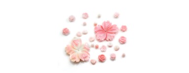 Lambi Conque Rose - Natural Bead | Jewelry Making