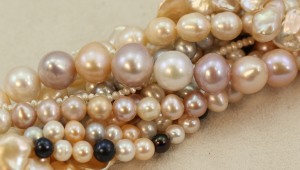 Introducción a las perlas cultivadas